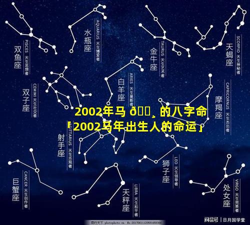 2002年马 🕸 的八字命「2002马年出生人的命运」